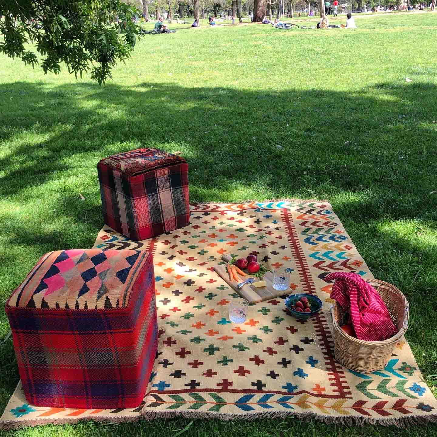Stylish Picnics With Picnic Rugs Outdoor Rugs Rug Advice
